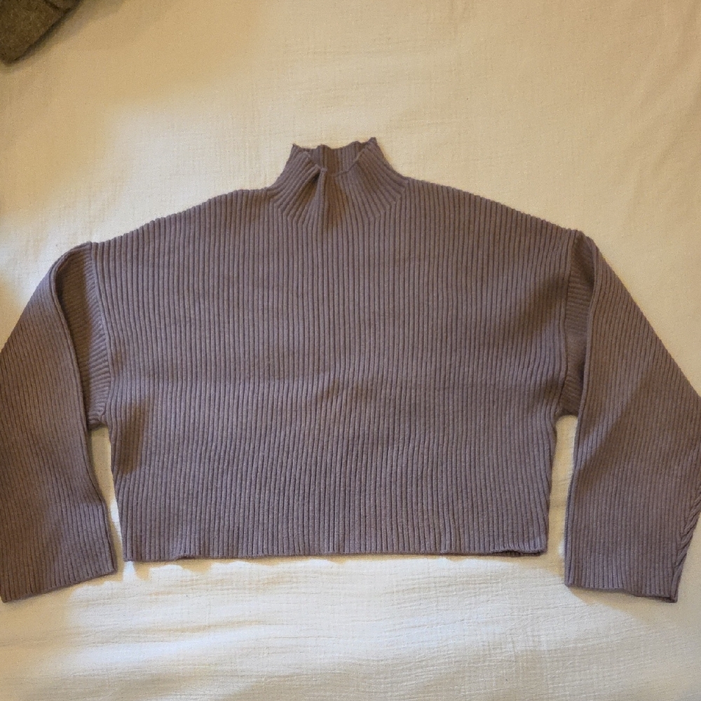 Zara Brown Mock Neck Crop Sweater